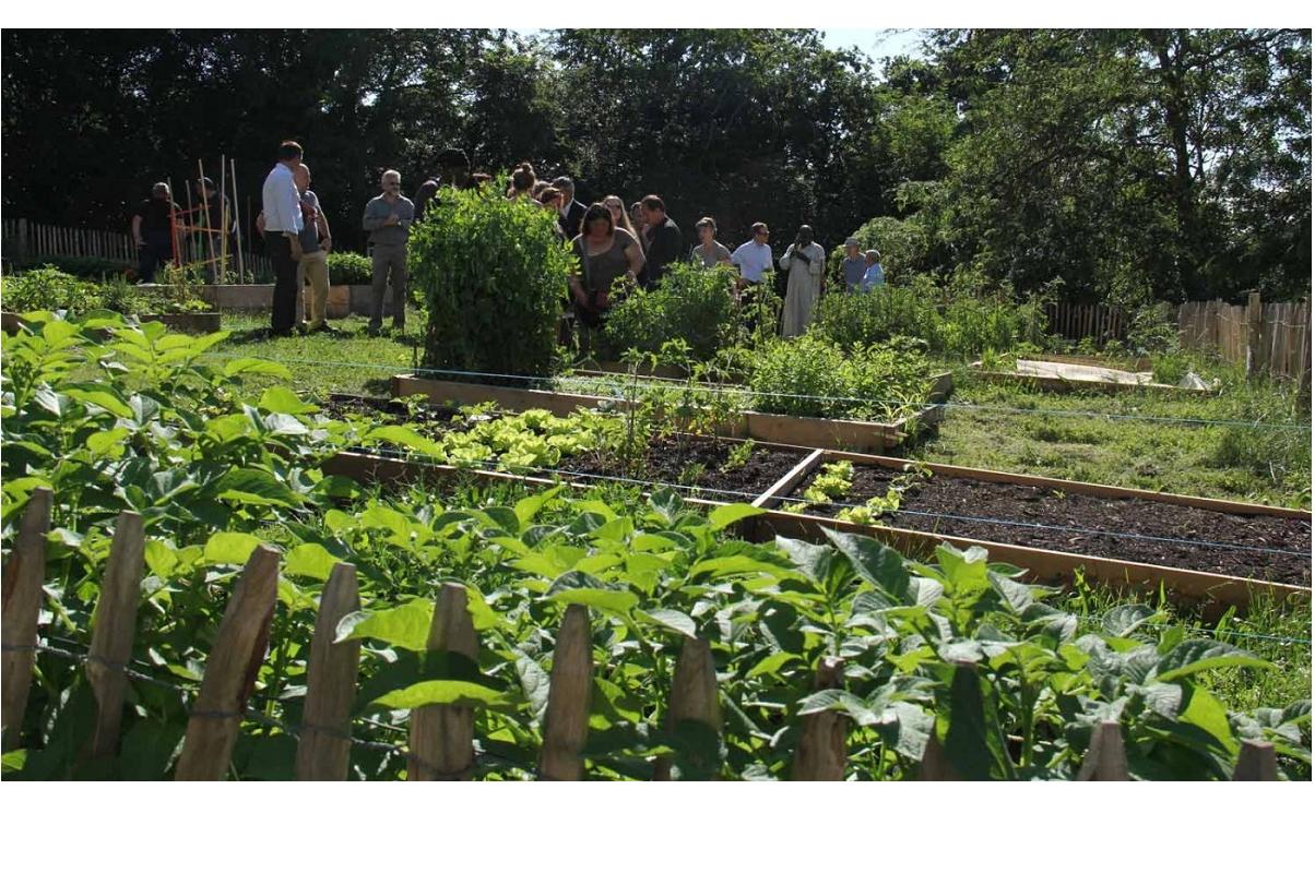 Jardins partagés : une solution pour allier la vie citadine et grands espaces